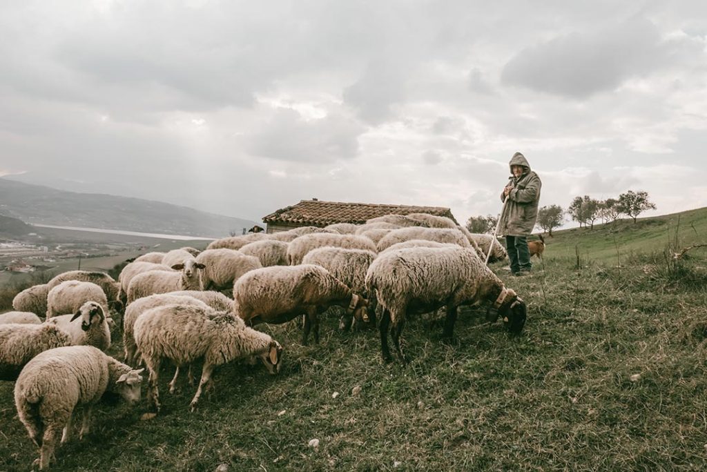 La-riscoperta-della-civiltà-contadina-in-Irpinia