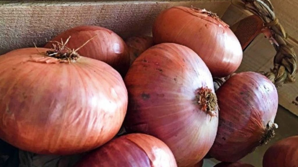 cipolla ramata di montoro