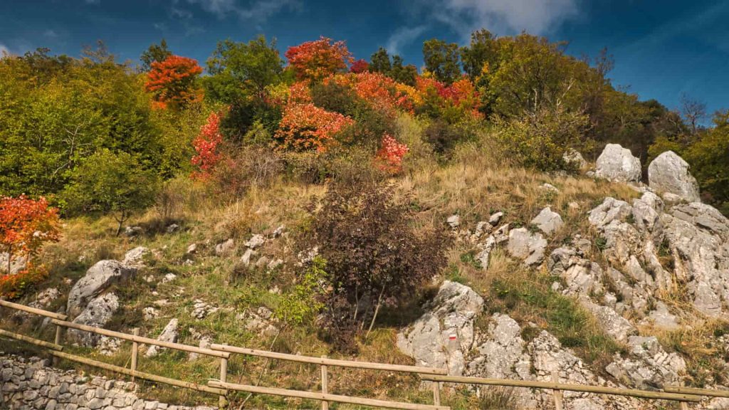 Il Sentiero del Lupo nel Parco del Partenio natura selvaggia