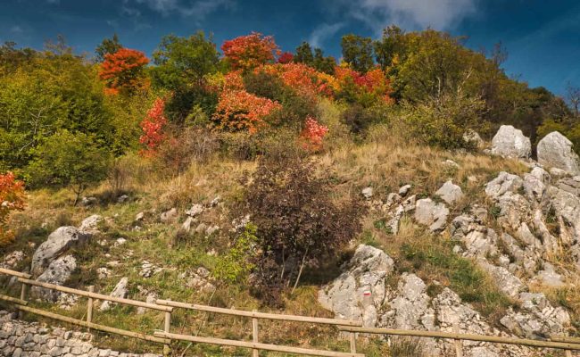 Il Sentiero del Lupo nel Parco del Partenio natura selvaggia
